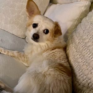 Meet your Posher, LL